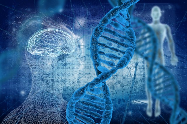 Čovek može da ima dva potpuno različita seta DNK